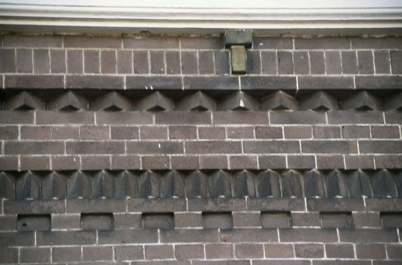 Vleermuis, huismus en gierzwaluw in gebouwen
