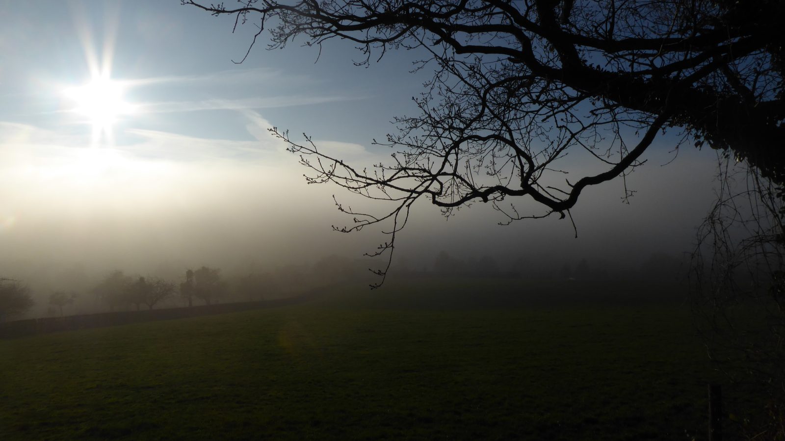 Ochtendmist boven een weiland bij Cottessen in Zuid-Limburg