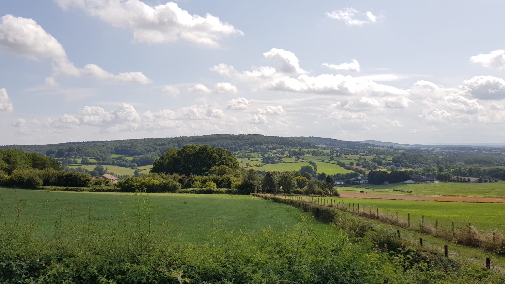 Glooiend heuvellandschap bij Epen in Zuid-Limburg